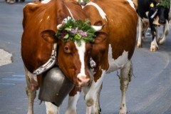 FromagerieMezieresPO_2024_030