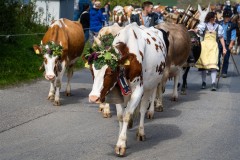 FromagerieMezieresPO_2024_031