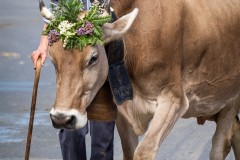 FromagerieMezieresPO_2024_037