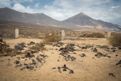 Fueteventura_2025_041