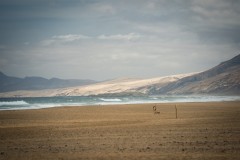 Fueteventura_2025_060