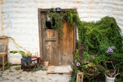 Fueteventura_2025_069