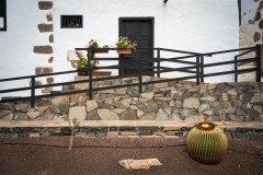 Fueteventura_2025_086