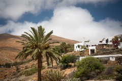 Fueteventura_2025_097