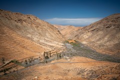 Fueteventura_2025_098