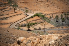 Fueteventura_2025_101