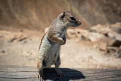 Fueteventura_2025_104