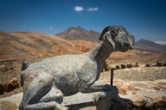 Fueteventura_2025_114