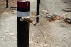 Fueteventura_2025_115