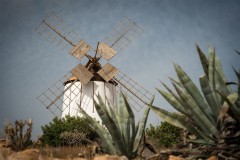 Fueteventura_2025_178