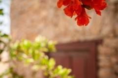 Fueteventura_2025_182
