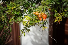 Fueteventura_2025_192