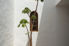 Fueteventura_2025_195