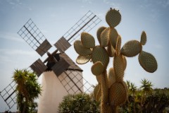 Fueteventura_2025_202