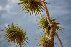 Fueteventura_2025_203