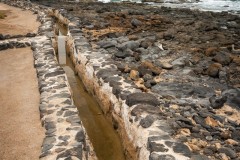 Fueteventura_2025_206