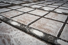 Fueteventura_2025_209