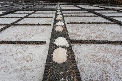 Fueteventura_2025_225