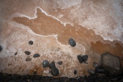 Fueteventura_2025_226
