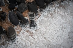 Fueteventura_2025_227