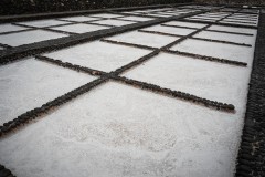 Fueteventura_2025_228