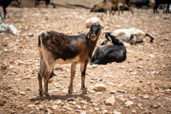 Fueteventura_2025_238