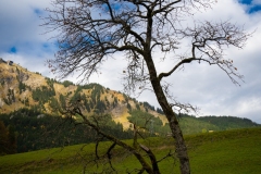 GalerieDefago_2024_019