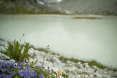 Grimentz2020_042