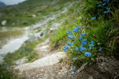 Grimentz2020_047