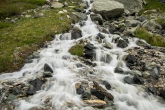 Grimentz2020_049