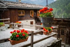 Grimentz2020_055