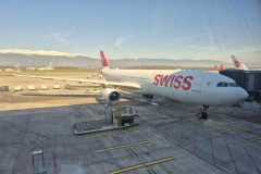 NewYork_2026_Mobile_001