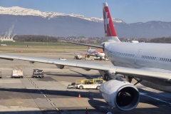 NewYork_2026_Mobile_002