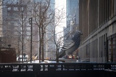 NewYork_2026_Olivier_040