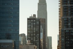 NewYork_2026_Olivier_167