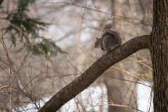 NewYork_2026_Olivier_264