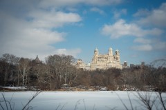 NewYork_2026_Olivier_266