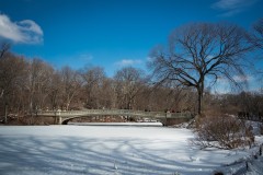 NewYork_2026_Olivier_270
