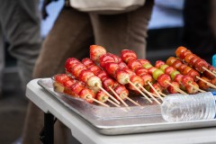 NewYork_2026_Olivier_341