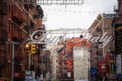 NewYork_2026_Olivier_342