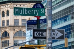 NewYork_2026_Olivier_380
