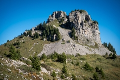 SchnyggePlatte_2025_007