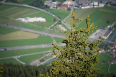 SchnyggePlatte_2025_015