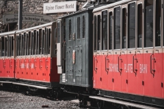 SchnyggePlatte_2025_050