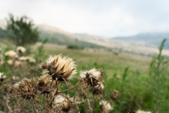 Sicile2024_162