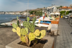 Sicile2024_323