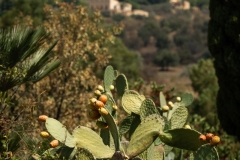 Sicile2024_374