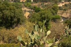 Sicile2024_378