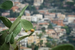 Sicile2024_431