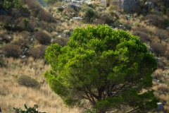 Sicile2024_573